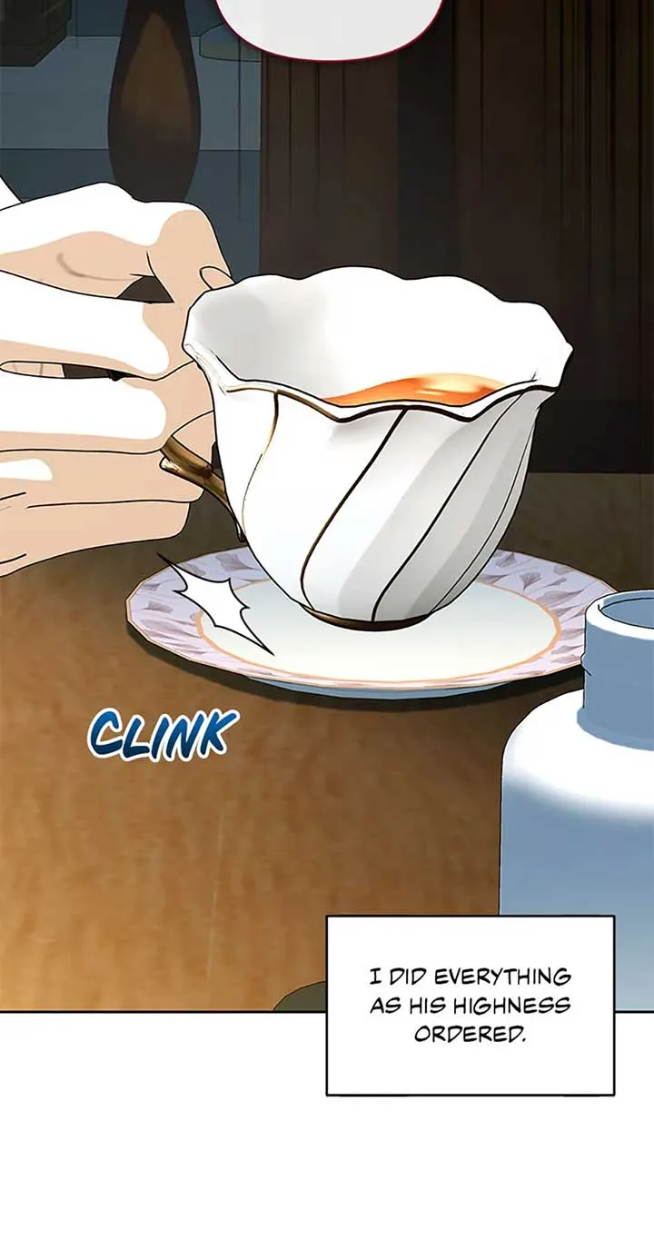 Fell Into the Arms of a Mad Villain Chapter 45 page 65
