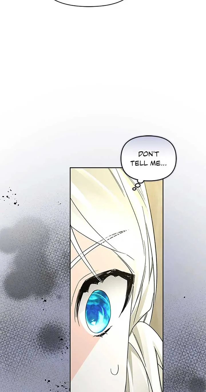 Fell Into the Arms of a Mad Villain Chapter 45 page 71