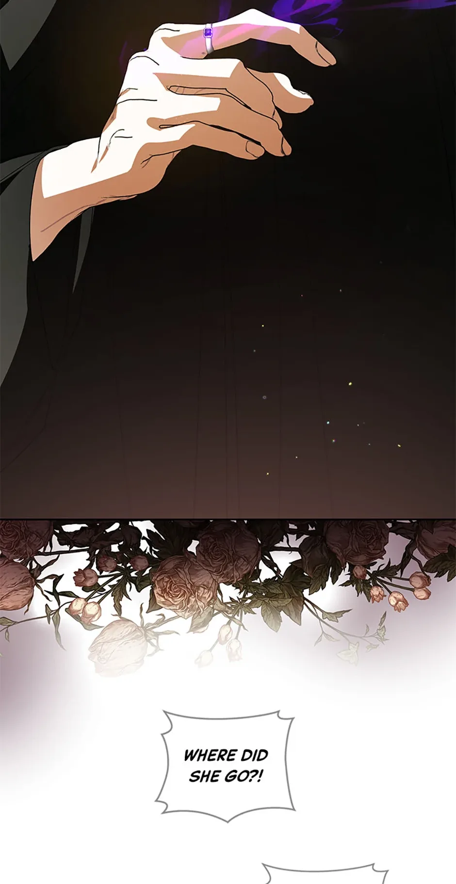 Fell Into the Arms of a Mad Villain Chapter 47 page 49
