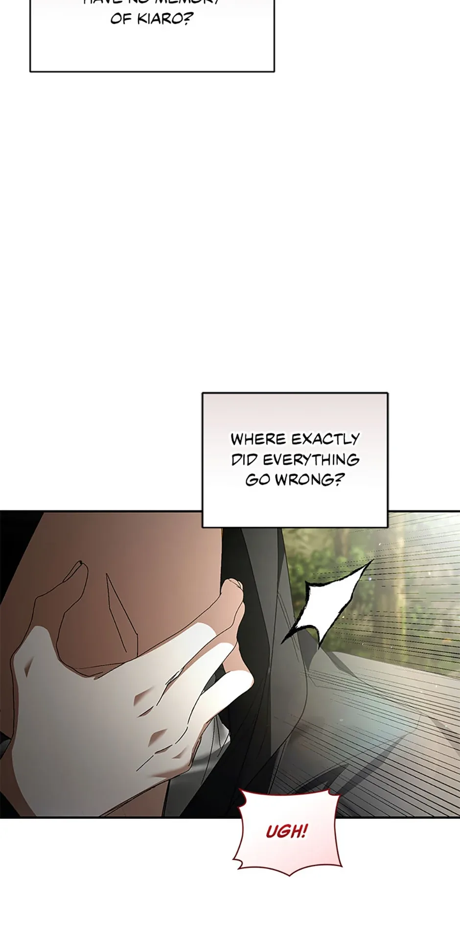 Fell Into the Arms of a Mad Villain Chapter 51 page 16