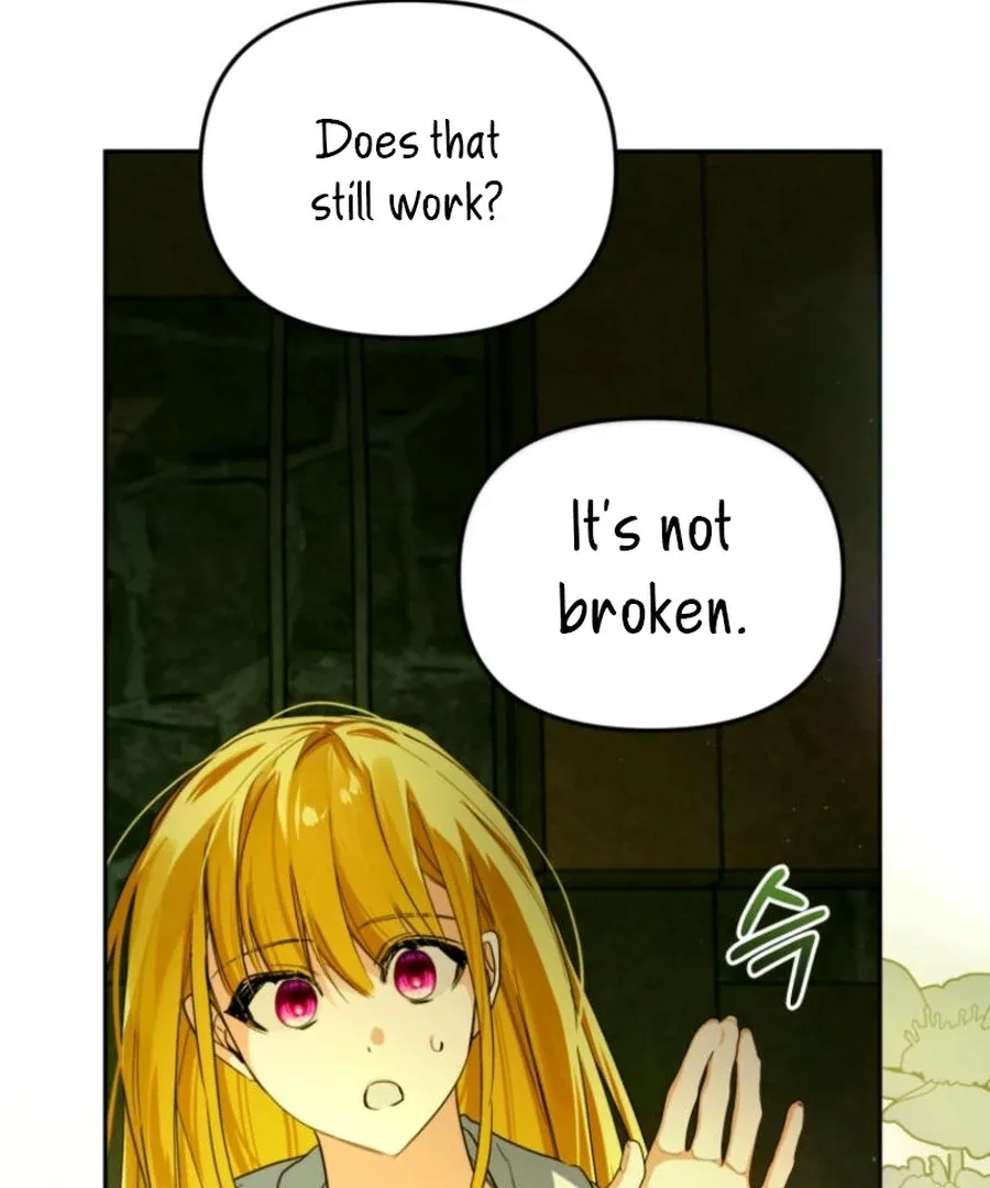 Fell Into the Arms of a Mad Villain Chapter 65 page 44
