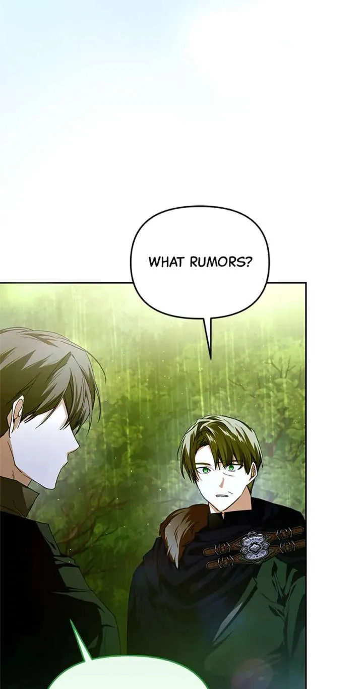Fell Into the Arms of a Mad Villain Chapter 69 page 37