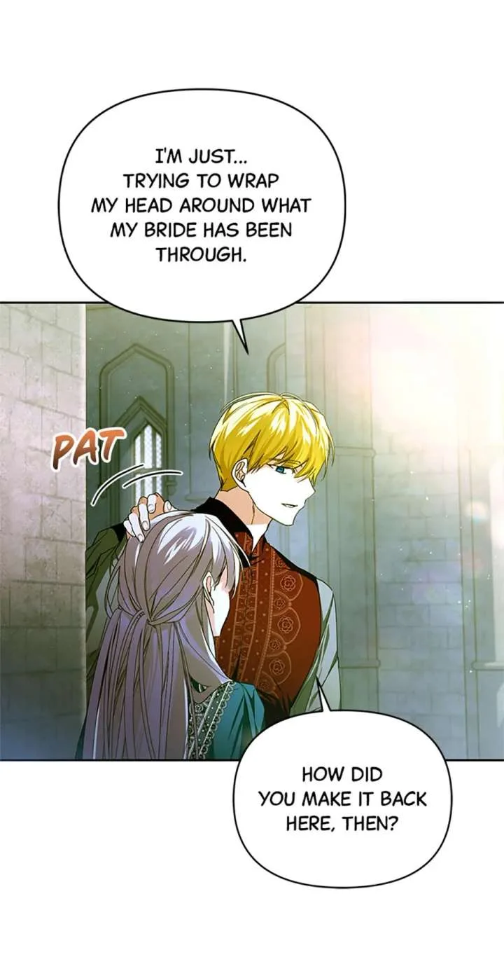 Fell Into the Arms of a Mad Villain Chapter 71 page 62