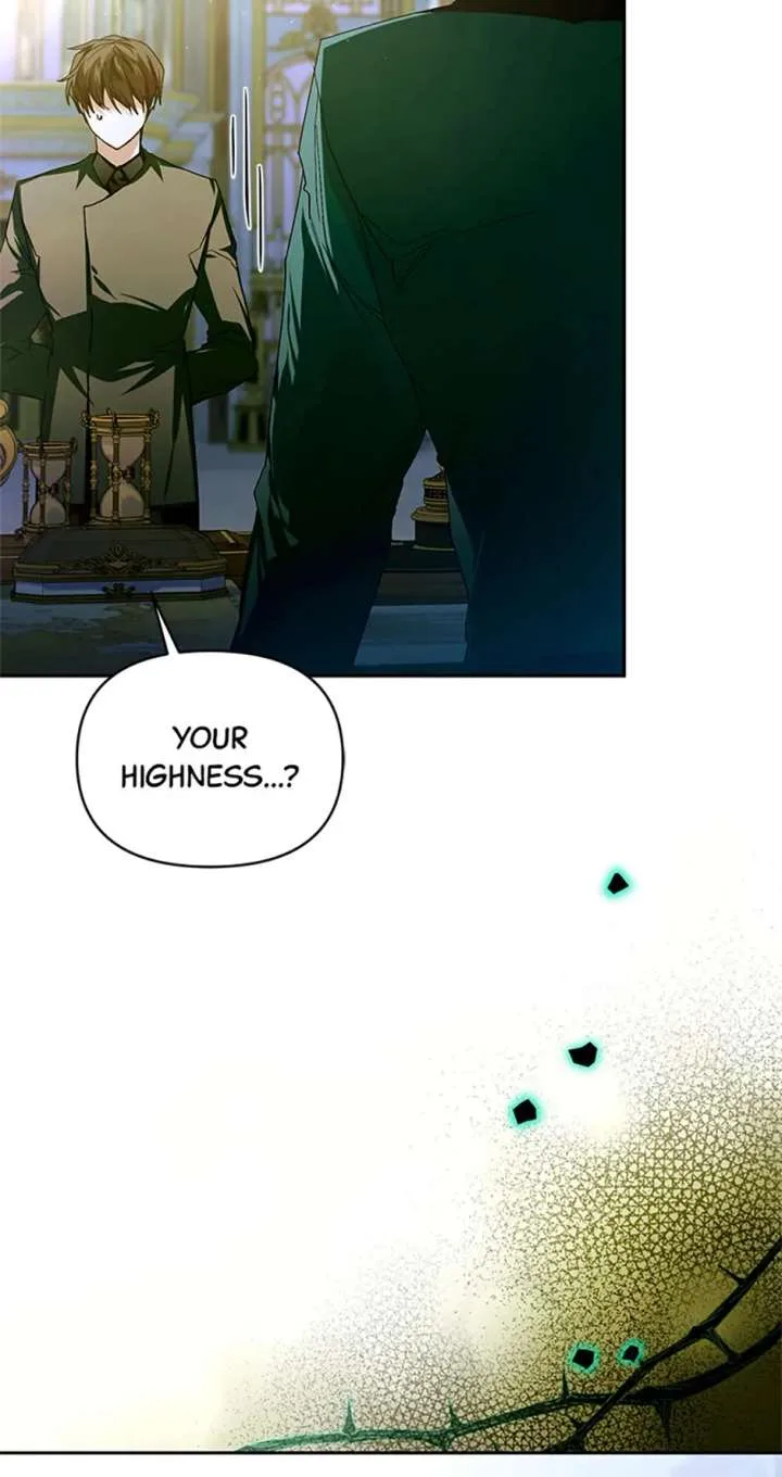 Fell Into the Arms of a Mad Villain Chapter 67 page 64