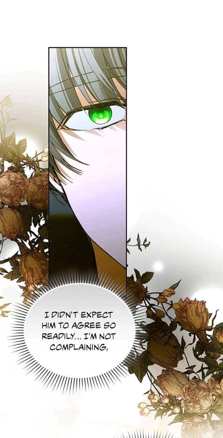 Fell Into the Arms of a Mad Villain Chapter 73 page 71