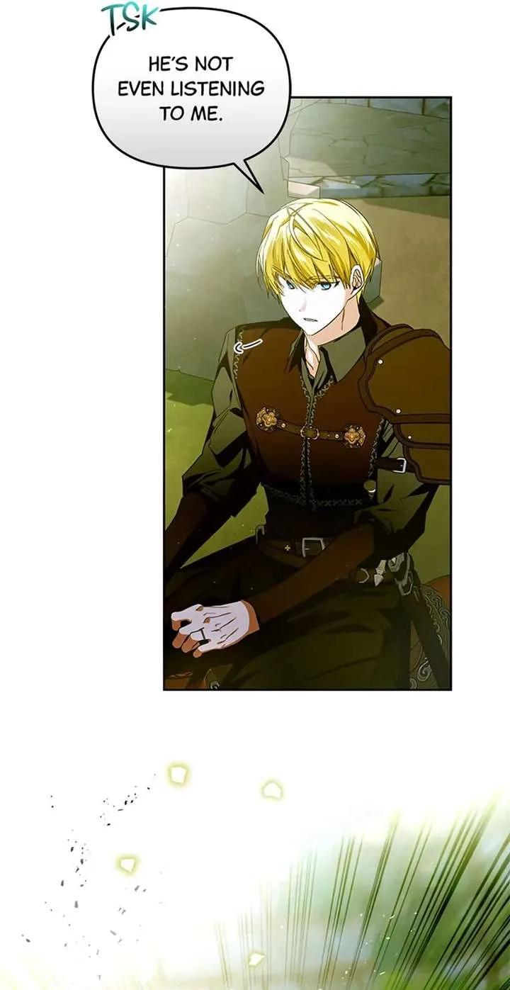 Fell Into the Arms of a Mad Villain Chapter 75 page 63