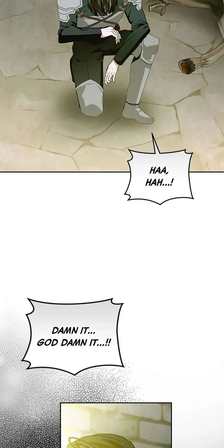 Fell Into the Arms of a Mad Villain Chapter 75 page 69