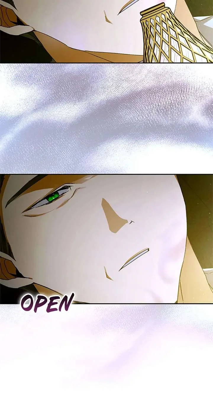 Fell Into the Arms of a Mad Villain Chapter 77 page 49