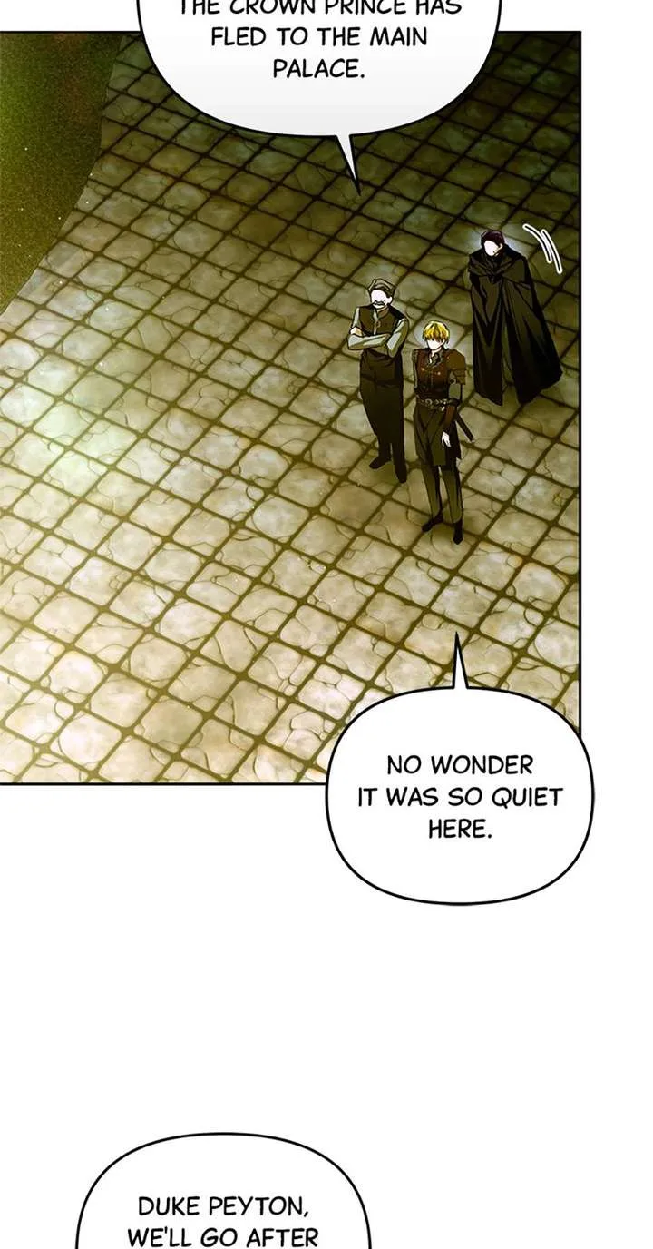 Fell Into the Arms of a Mad Villain Chapter 78 page 39