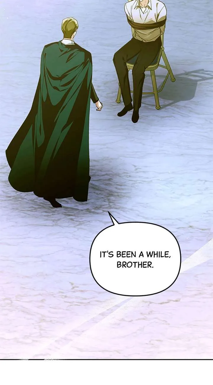 Fell Into the Arms of a Mad Villain Chapter 79 page 29