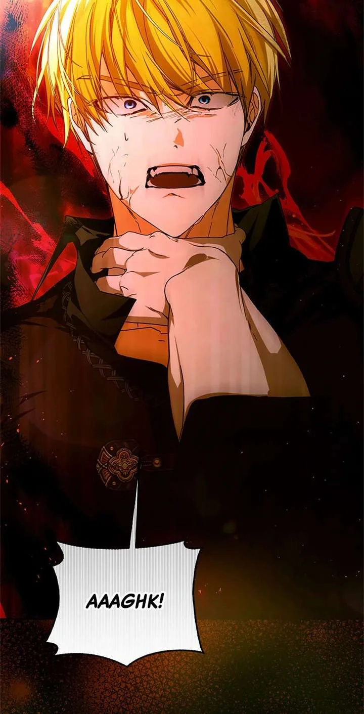Fell Into the Arms of a Mad Villain Chapter 81 page 9