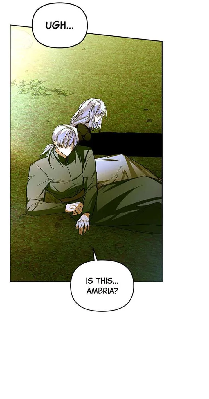 Fell Into the Arms of a Mad Villain Chapter 83 page 30