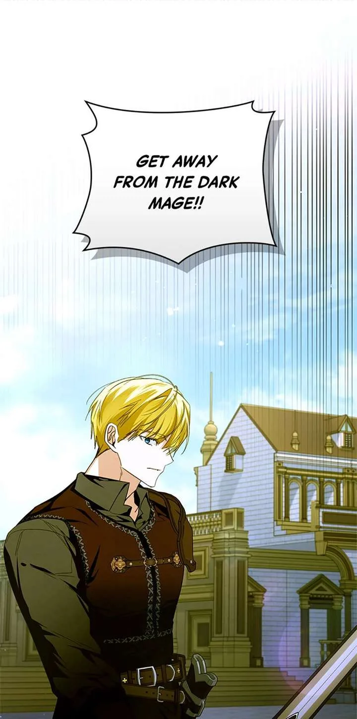 Fell Into the Arms of a Mad Villain Chapter 80 page 33