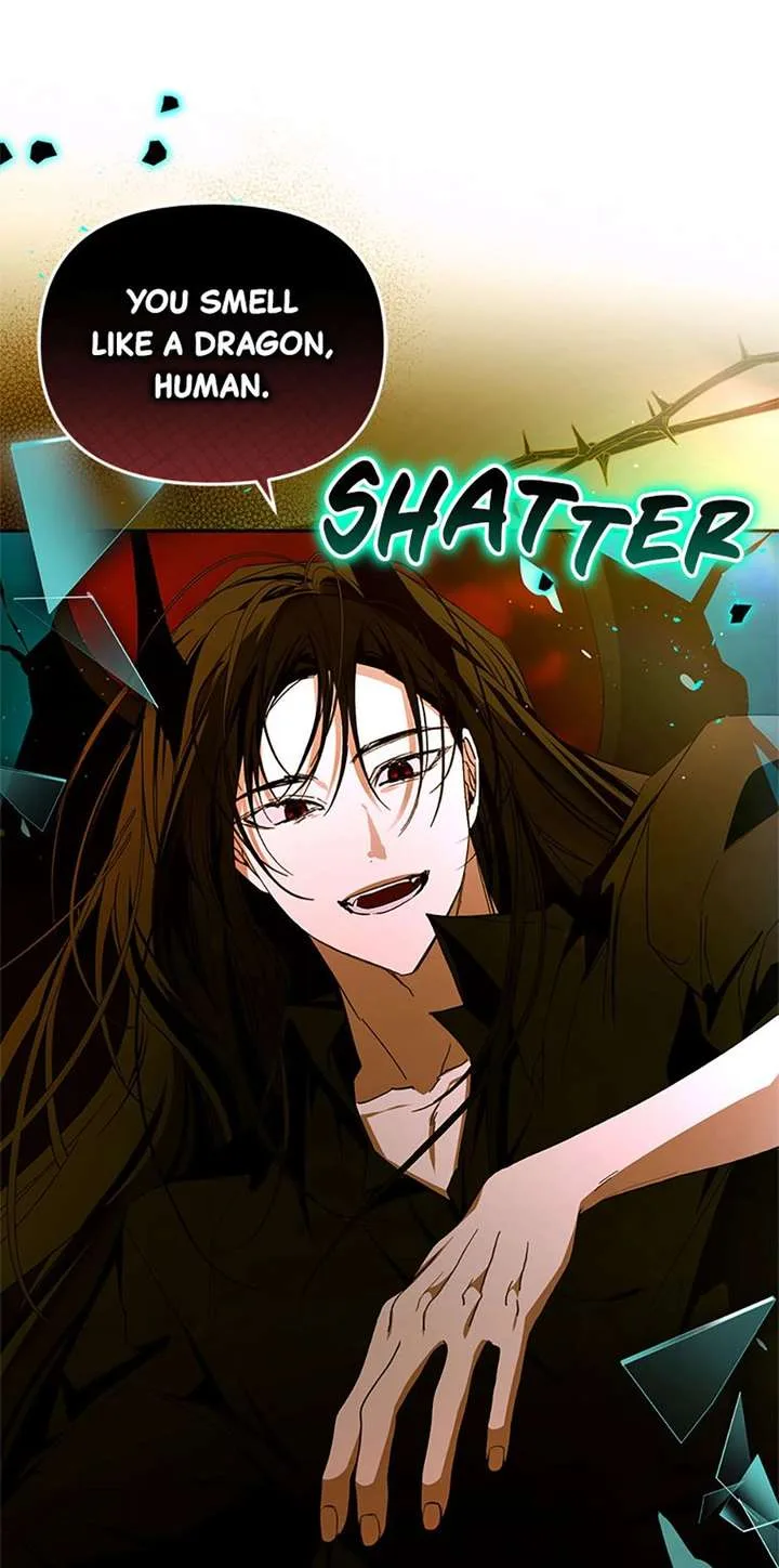 Fell Into the Arms of a Mad Villain Chapter 80 page 79