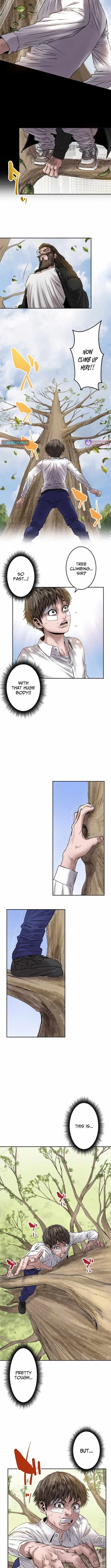 Fight Rankings: The Weakest Me Climbs the Fighting Strongest Rankings Just by Drawing Chapter 6 page 8