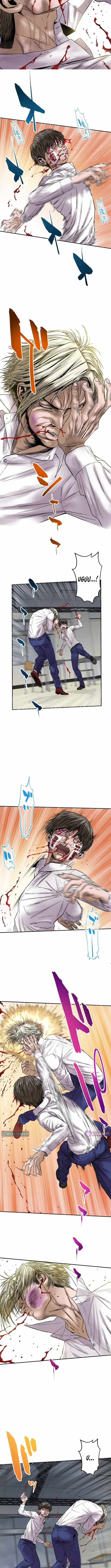 Fight Rankings: The Weakest Me Climbs the Fighting Strongest Rankings Just by Drawing Chapter 11 page 4