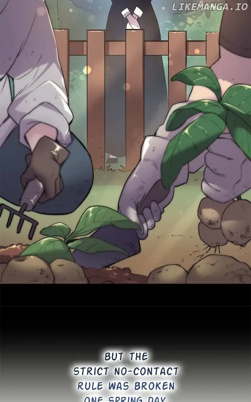 Filiarose – The Crown of Thorns Prophecy Chapter 119 page 55