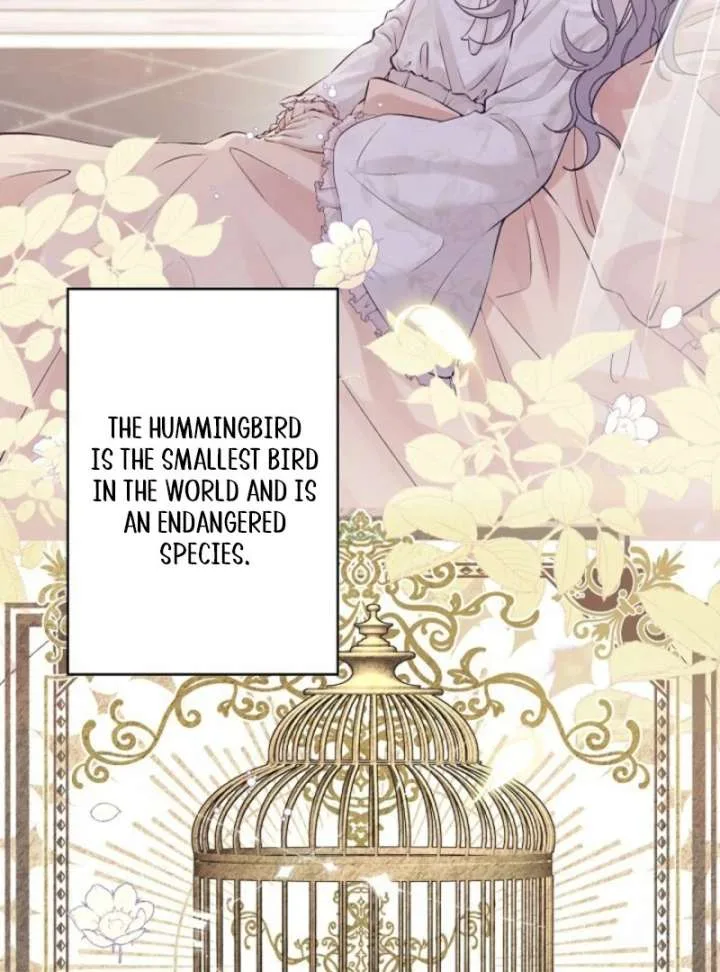 Final Boss’s Daughter Refuses Fate Of Death Chapter 1 page 7