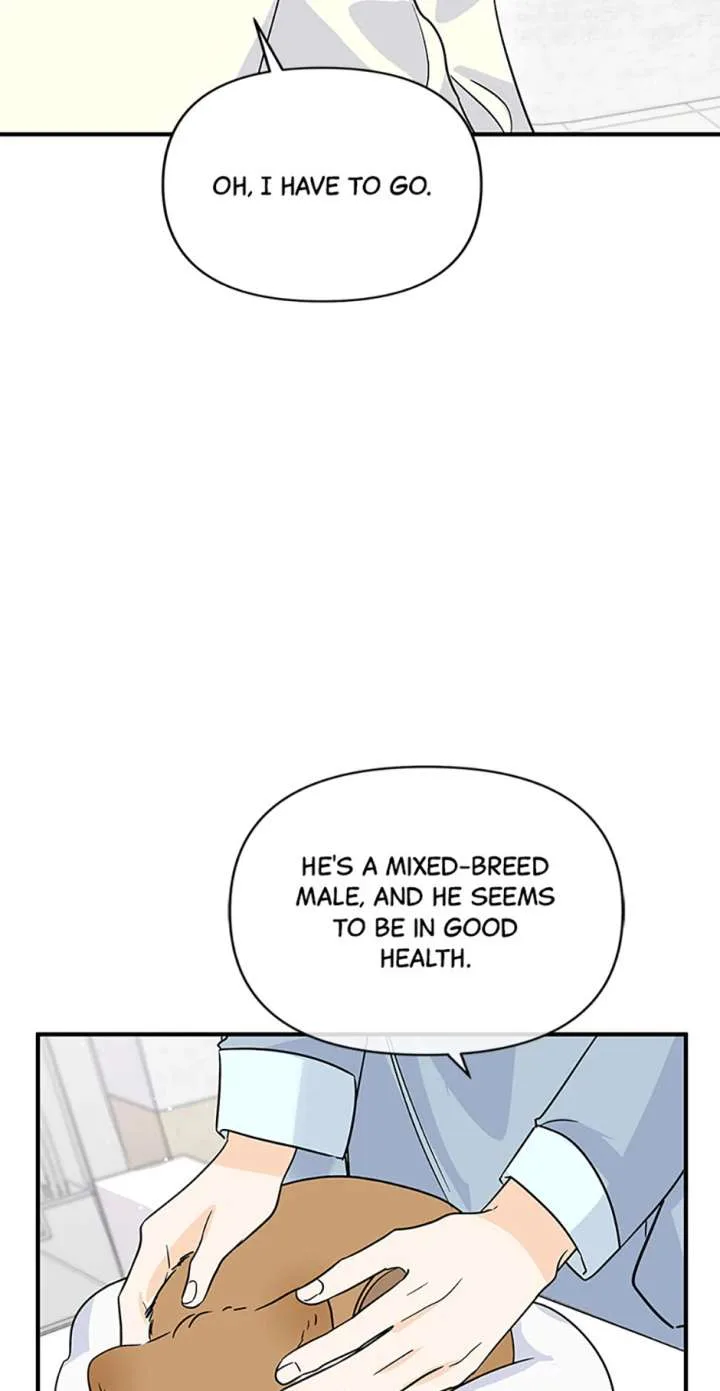Flee if You Can’t Avoid It Chapter 66 page 12