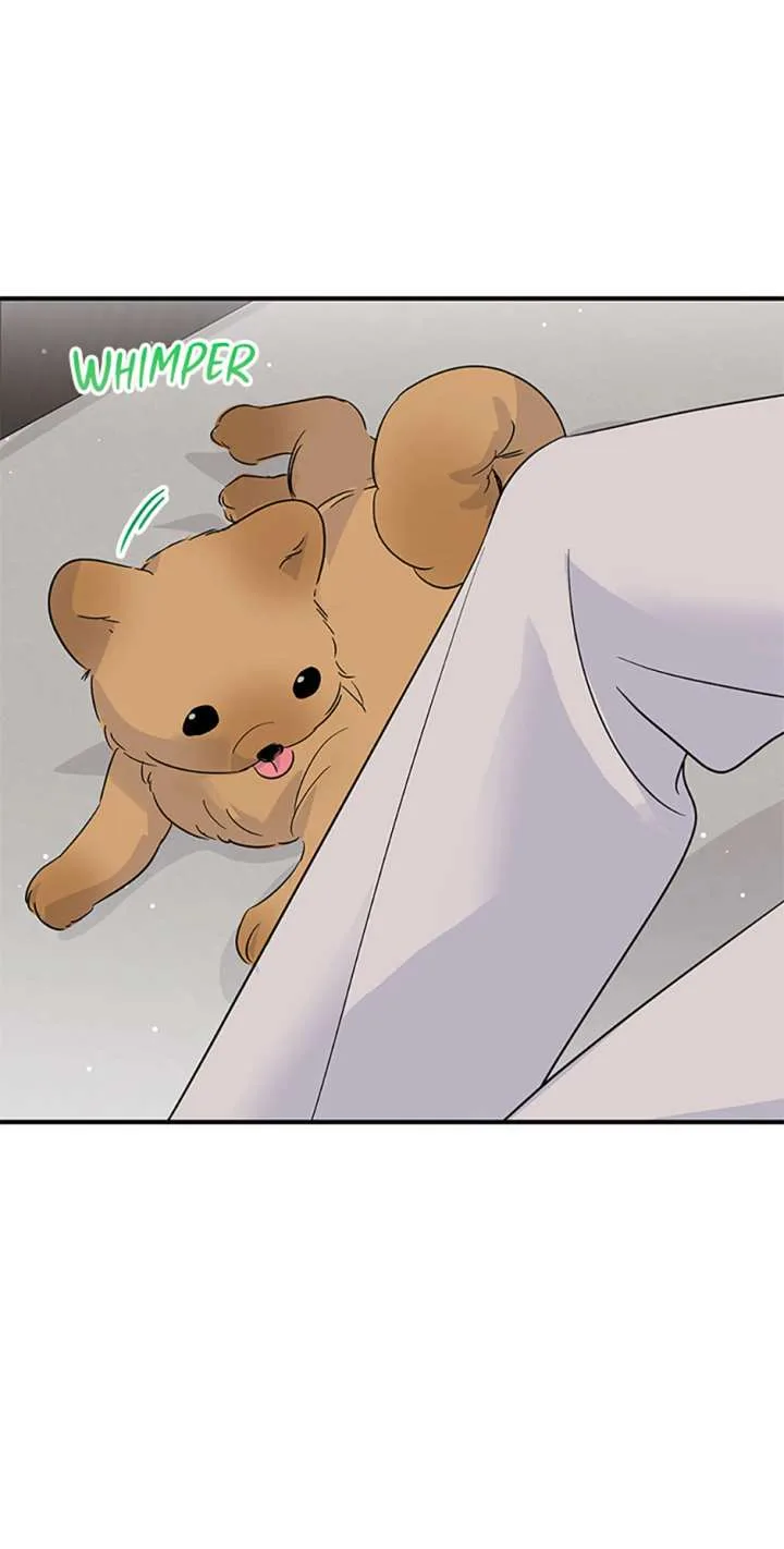 Flee if You Can’t Avoid It Chapter 68 page 37