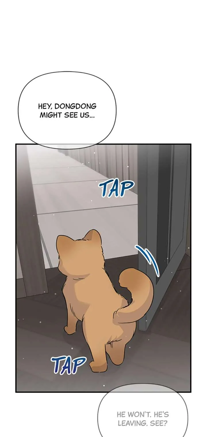 Flee if You Can’t Avoid It Chapter 68 page 53