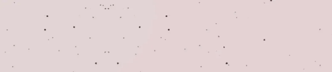 Flowers Are Flowers, Leaves Are Leaves Chapter 62 page 24