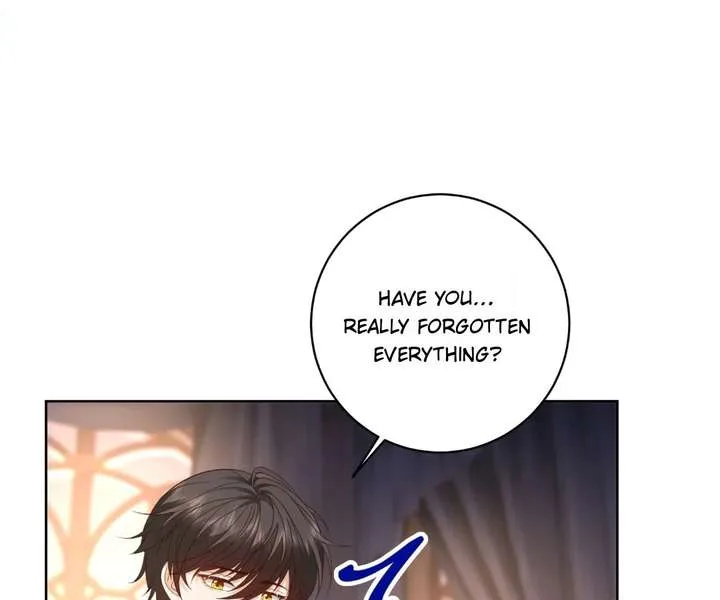 I Want to Maintain My Stepmother’s Character Chapter 41 page 17