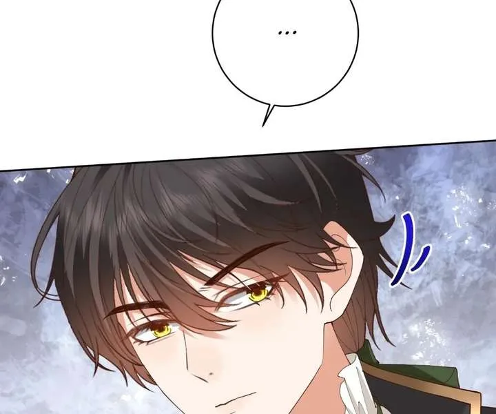 I Want to Maintain My Stepmother’s Character Chapter 43 page 95