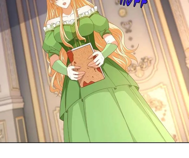 I Want to Maintain My Stepmother’s Character Chapter 45 page 62