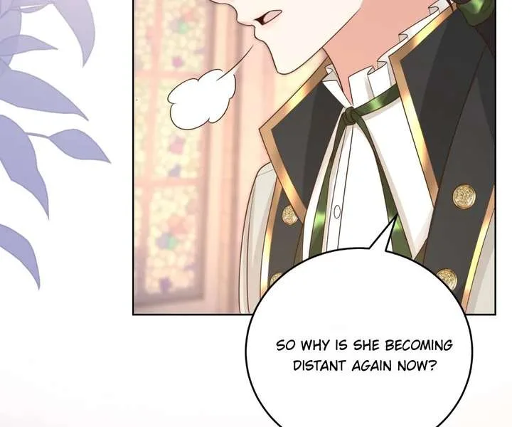 I Want to Maintain My Stepmother’s Character Chapter 45 page 52