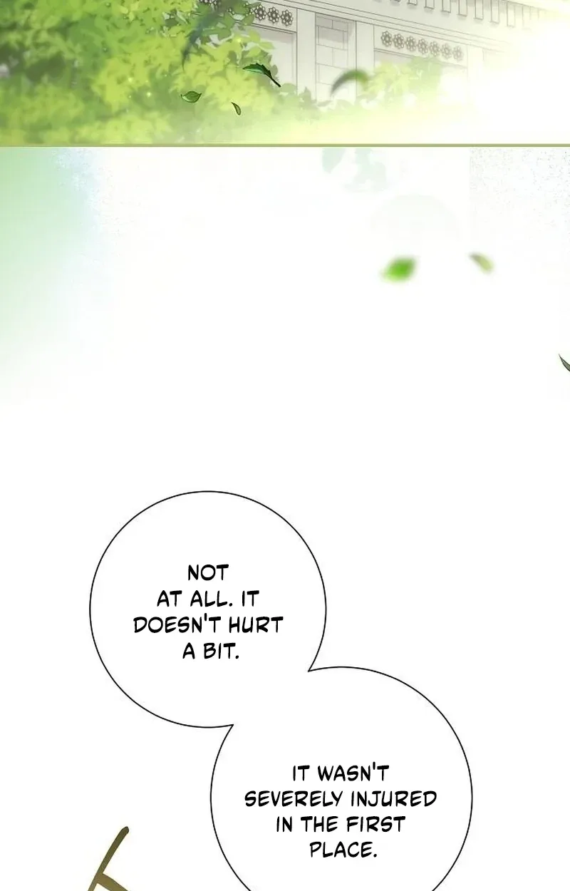 For My Gentle Monster Chapter 43 page 63