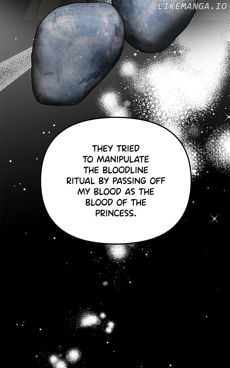 For The Princess Who Will Disappear Chapter 29 page 81