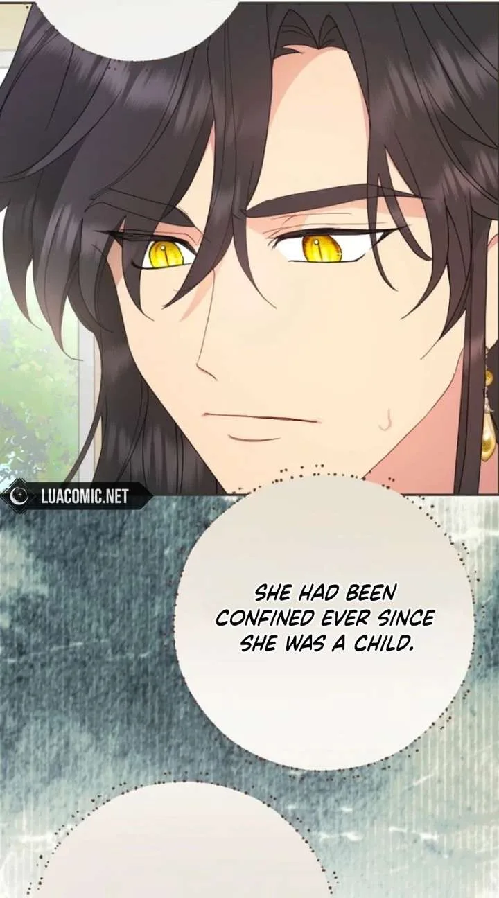 Forget My Husband, I’ll Go Make Money Chapter 113 page 52