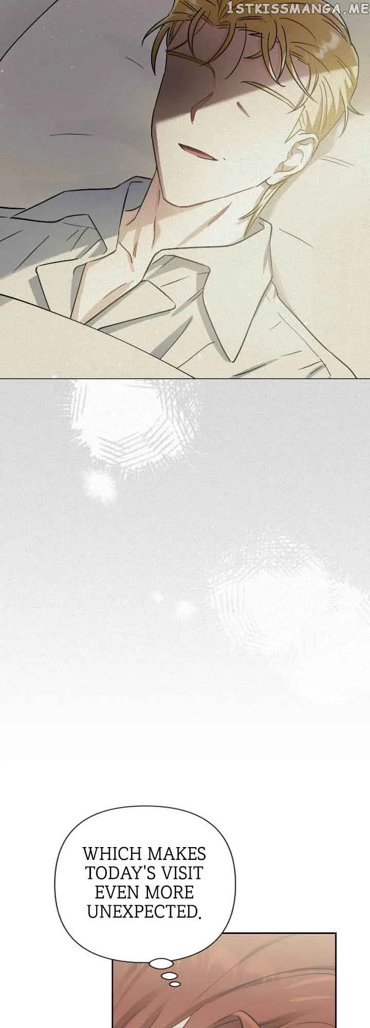 From Misery to Majesty Chapter 29 page 8