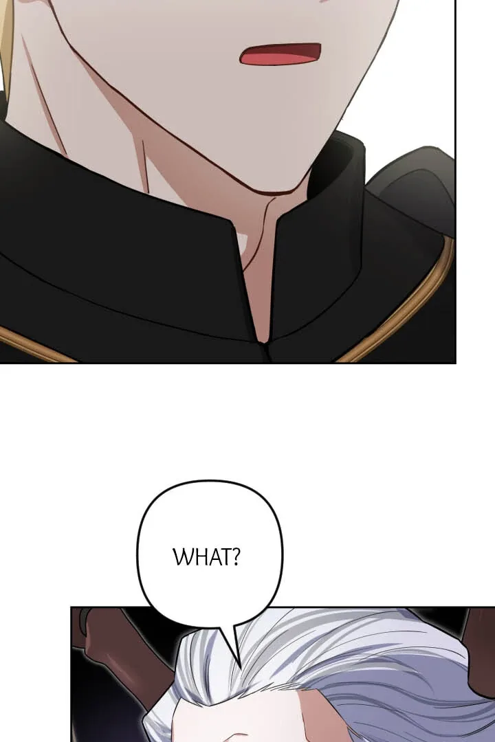 From Misery to Majesty Chapter 58 page 29