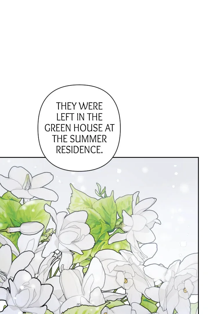 From Misery to Majesty Chapter 57 page 64