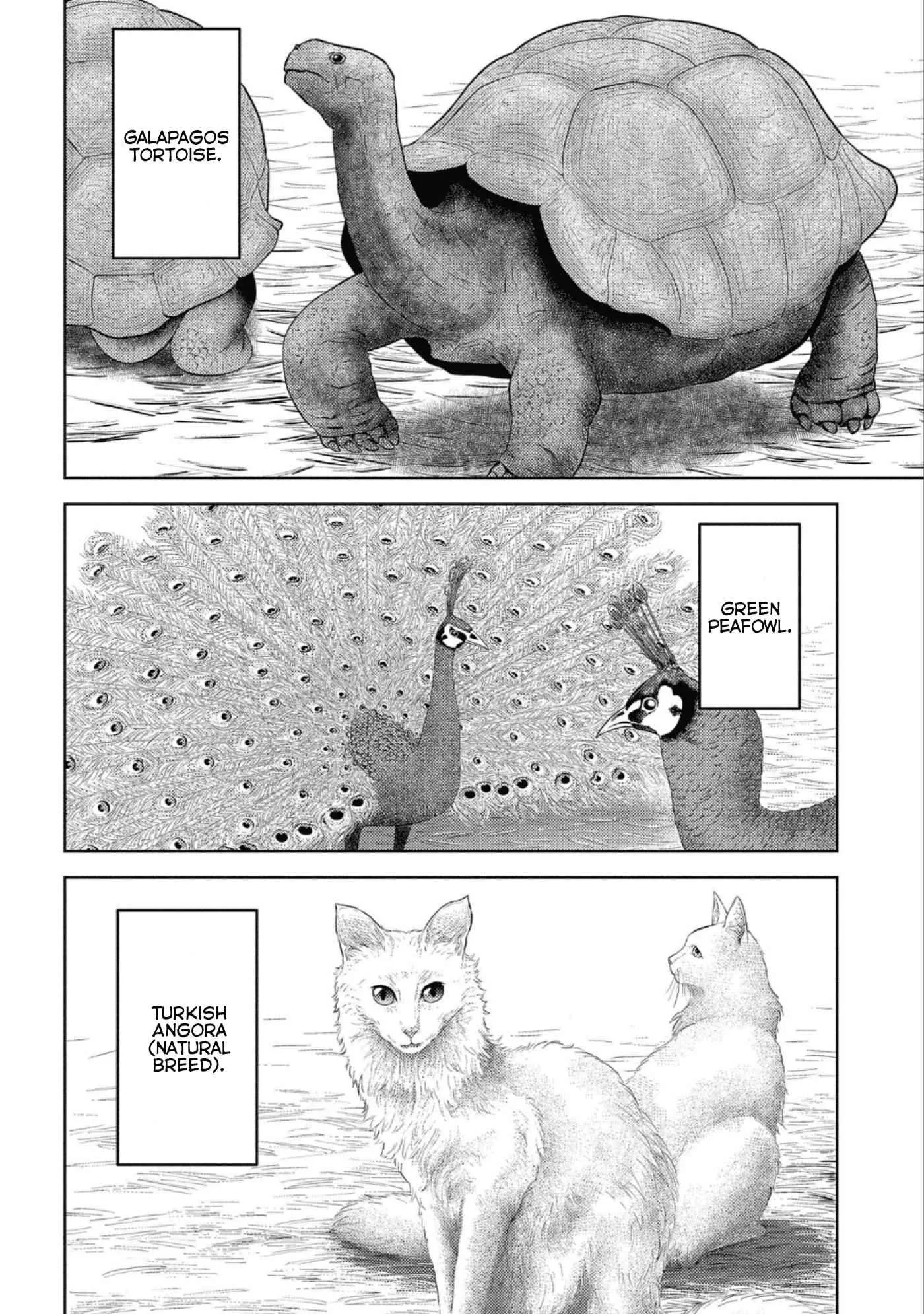 Sengoku Komachi Kuroutan: Noukou Giga Chapter 43 page 31