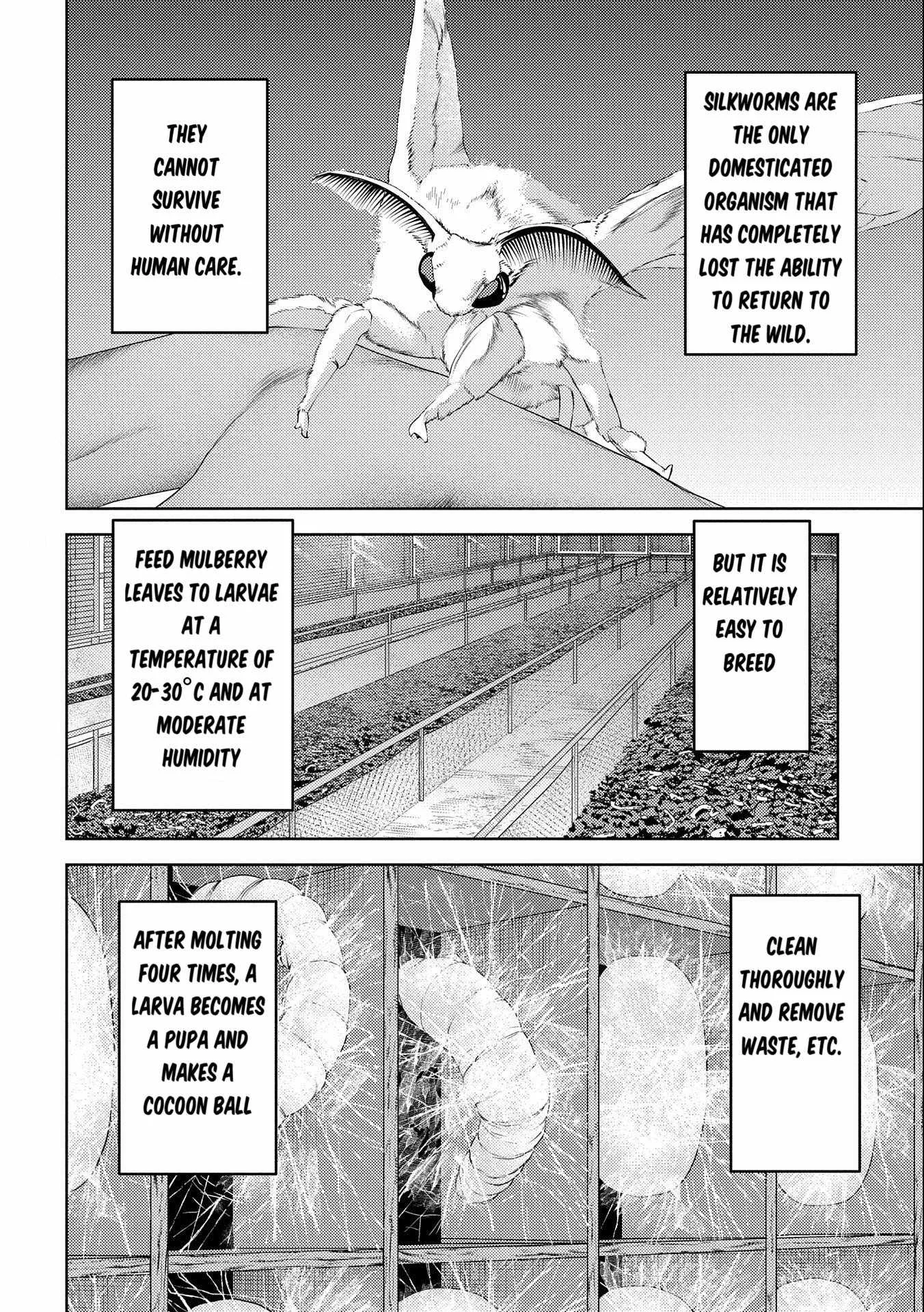 Sengoku Komachi Kuroutan: Noukou Giga Chapter 74 page 5
