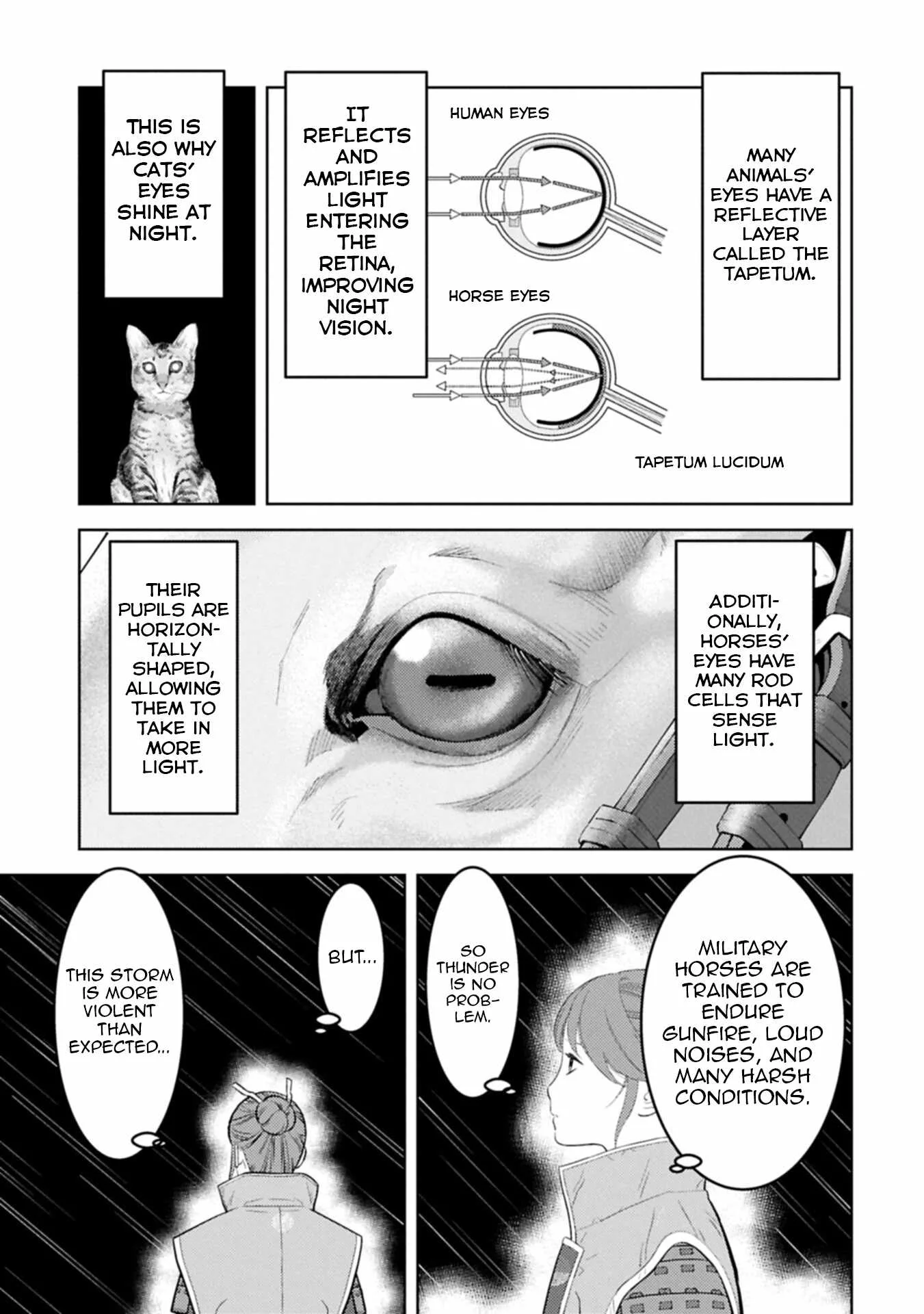 Sengoku Komachi Kuroutan: Noukou Giga Chapter 97 page 20