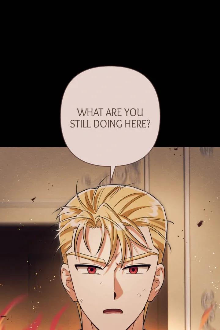 From Misery to Majesty Chapter 63 page 11