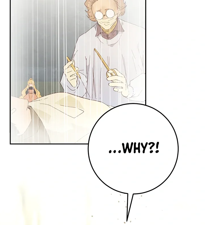 From Six to Sovereignty: The Girl Who Ruled Chapter 42 page 6