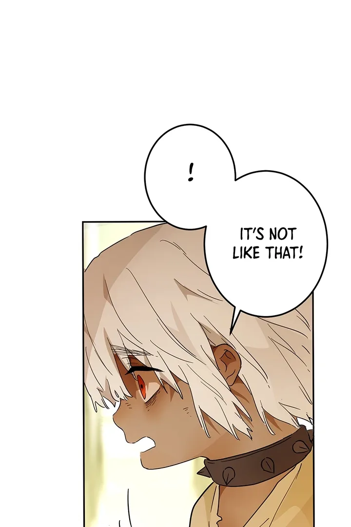 From Six to Sovereignty: The Girl Who Ruled Chapter 42 page 20