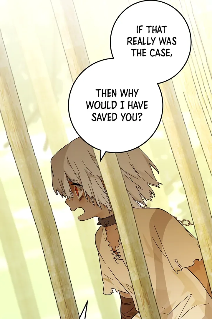 From Six to Sovereignty: The Girl Who Ruled Chapter 42 page 23