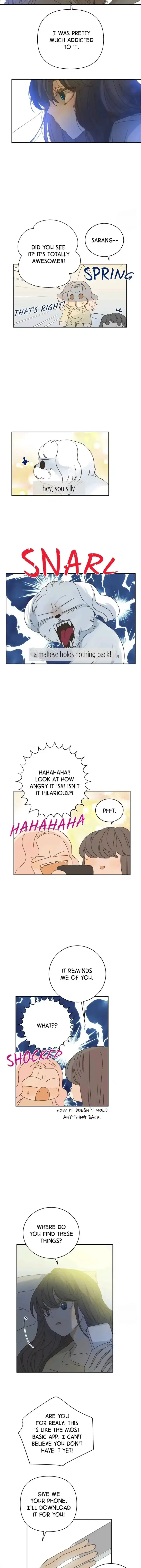 Girl with a Knife Chapter 86 page 8
