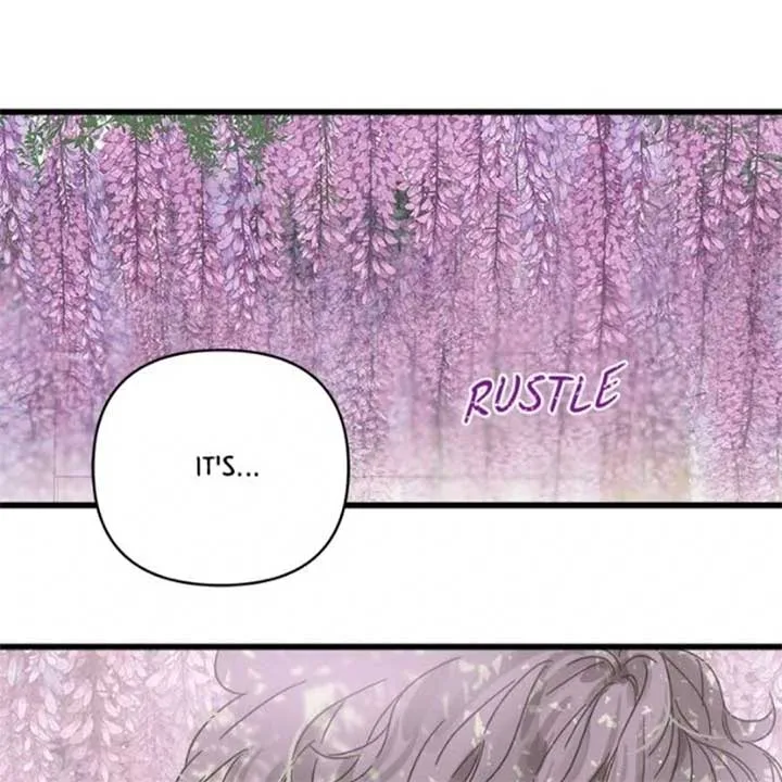 Girl with a Knife Chapter 132 page 41