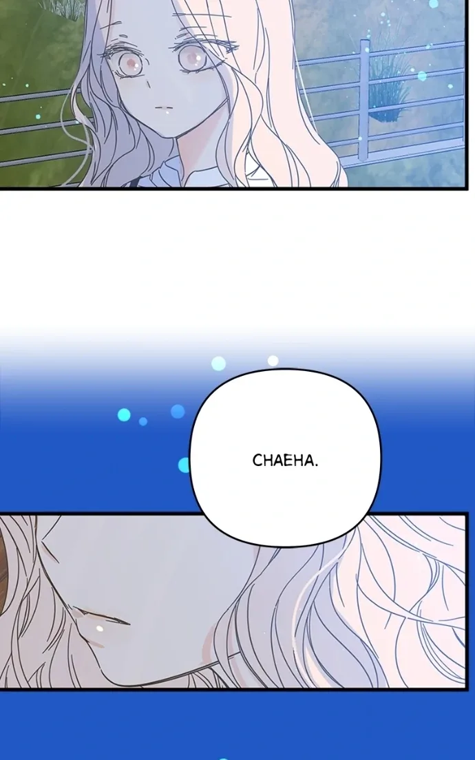 Girl with a Knife Chapter 151 page 25