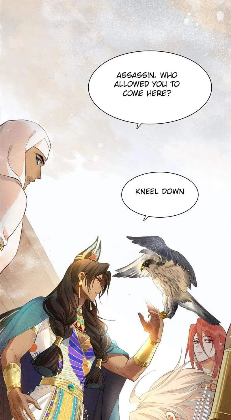 The King Chapter 10 page 42