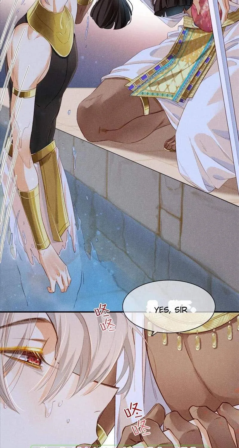 The King Chapter 15 page 24