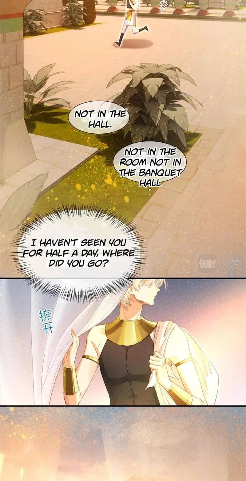 The King Chapter 19 page 19