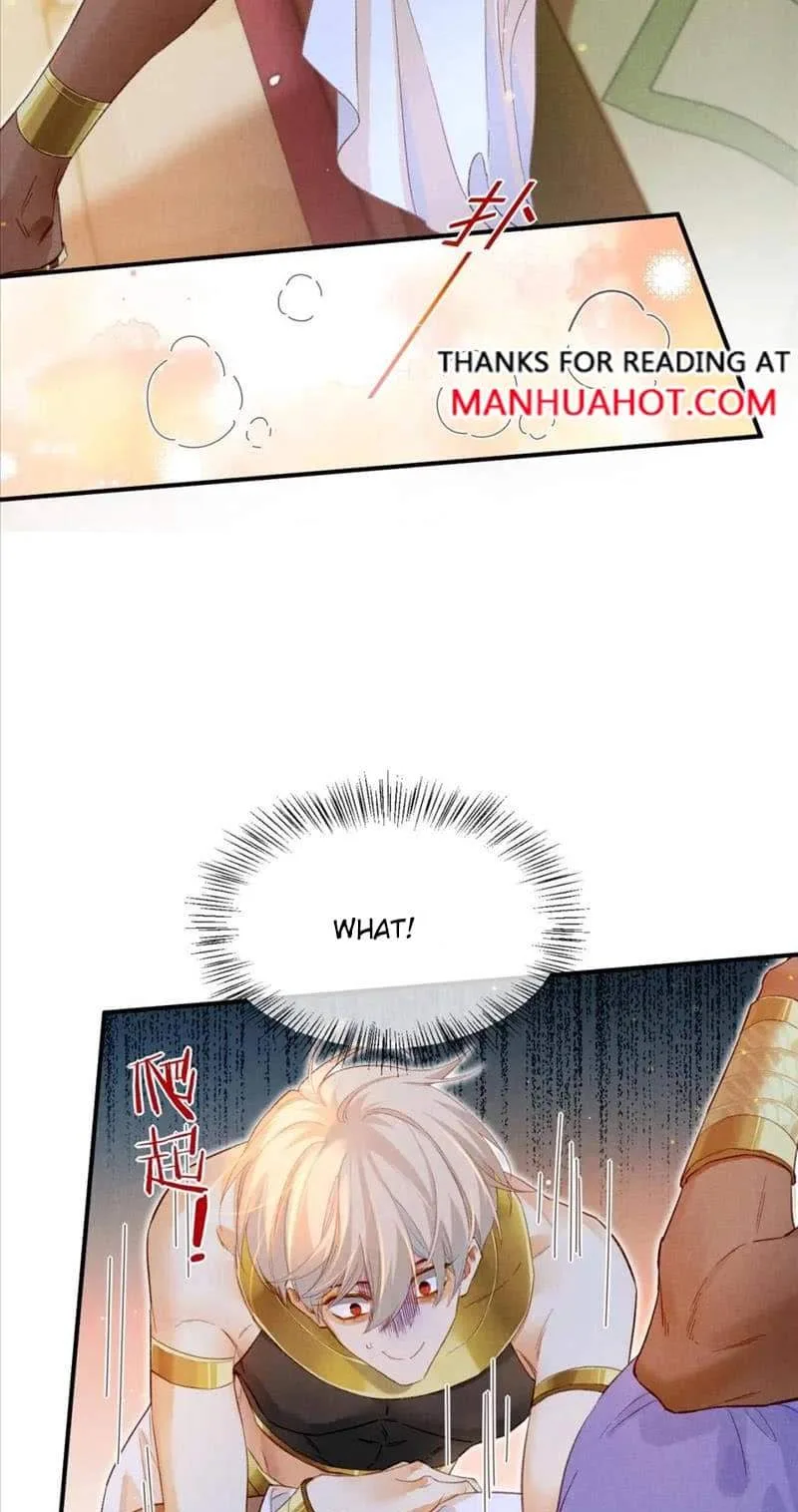 The King Chapter 17 page 12